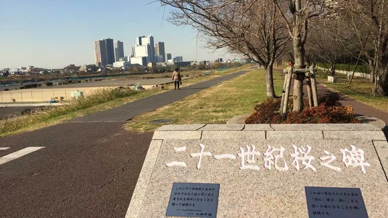 多摩川